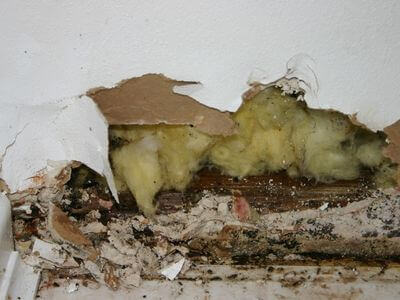 About Renew Water Damage Restoration - water damage restoration experts in Mapleton, UT